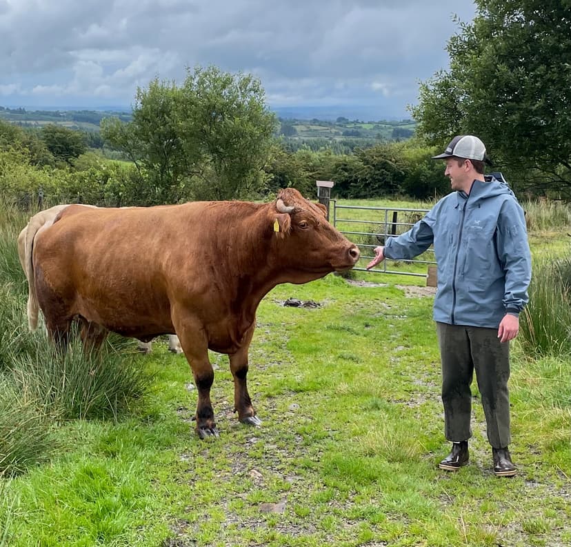 Before: wildlife photograph