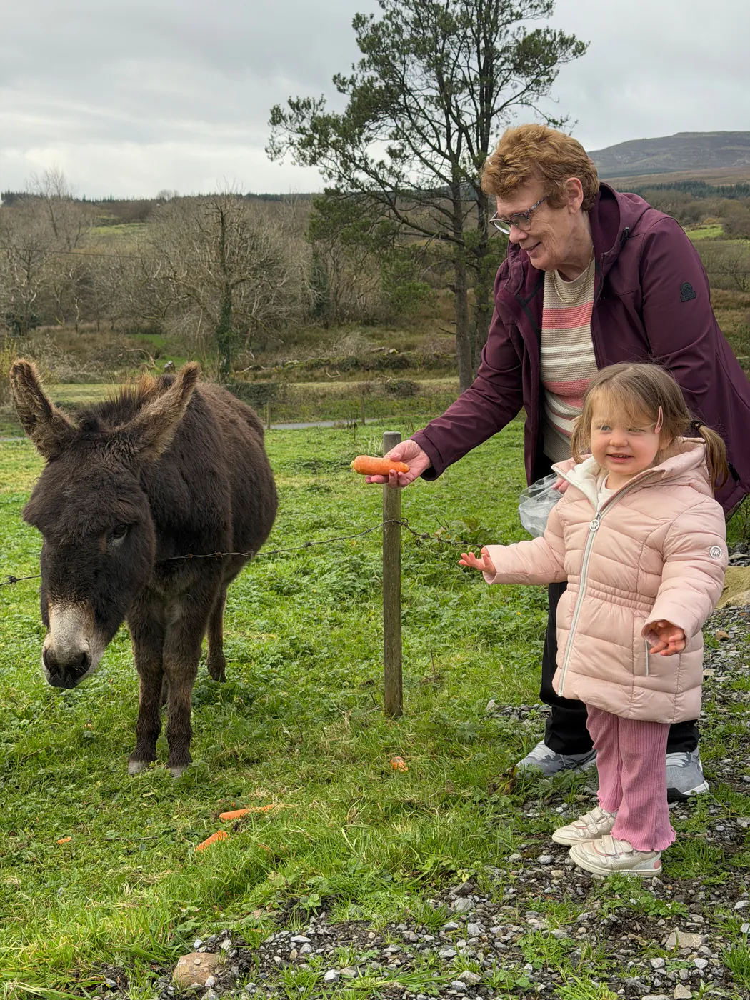Before: photograph of an older woman and young child feeding a donkey.