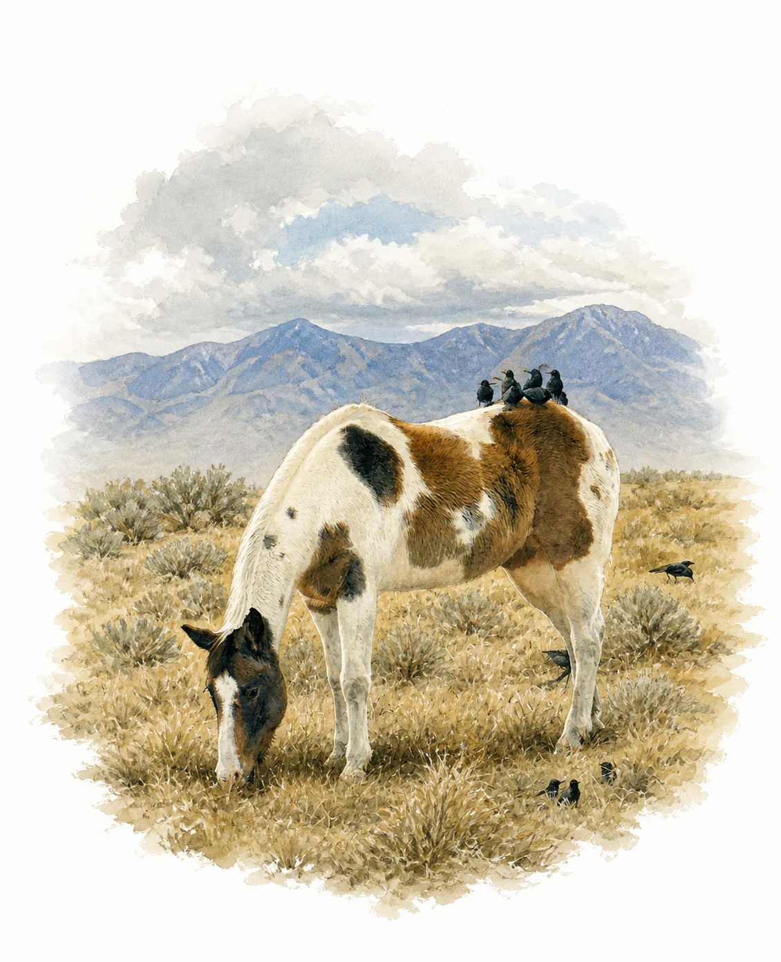 After: natural-history habitat illustration of the same horse and blackbirds.