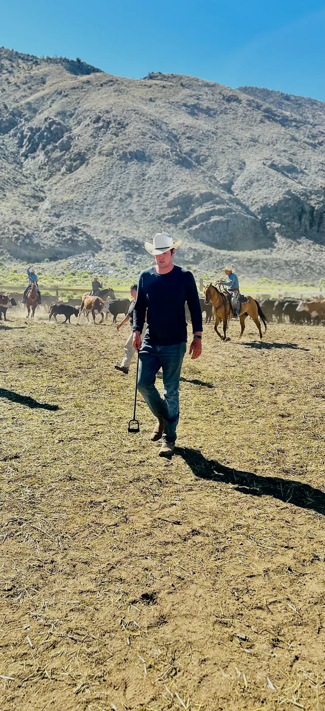 Before: photograph of a rancher walking in front of cattle and mounted riders.